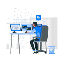 Custom Software Development Company in Chennai | Expert Solutions